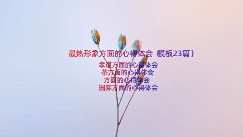 最热形象方面的心得体会（模板23篇）