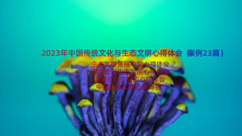 2023年中国传统文化与生态文明心得体会（案例23篇）