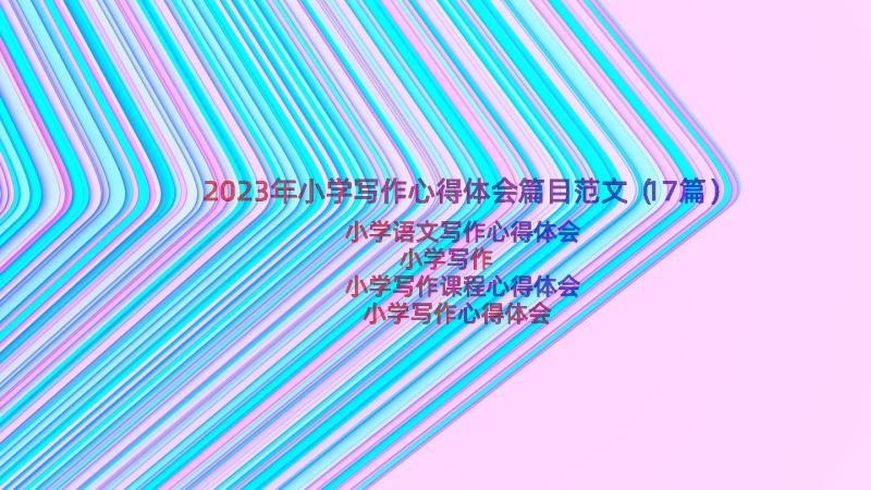 2023年小学写作心得体会篇目范文（17篇）