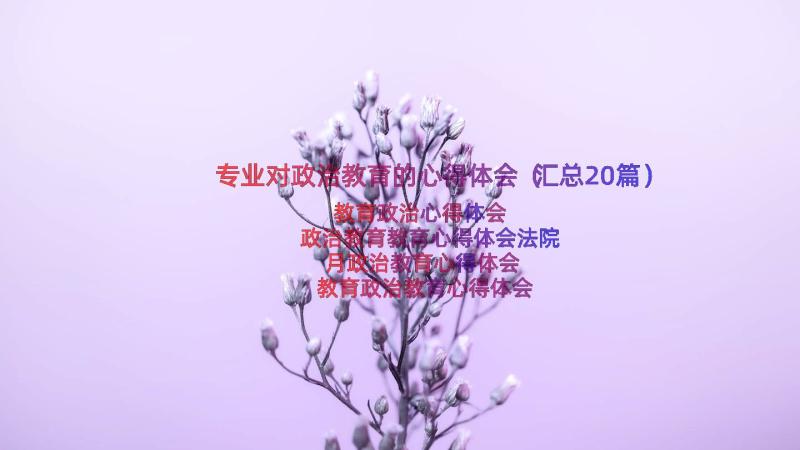 专业对政治教育的心得体会（汇总20篇）