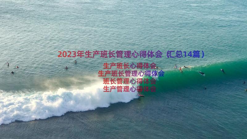 2023年生产班长管理心得体会（汇总14篇）