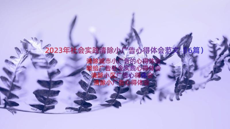 2023年社会实践清除小广告心得体会范文（16篇）