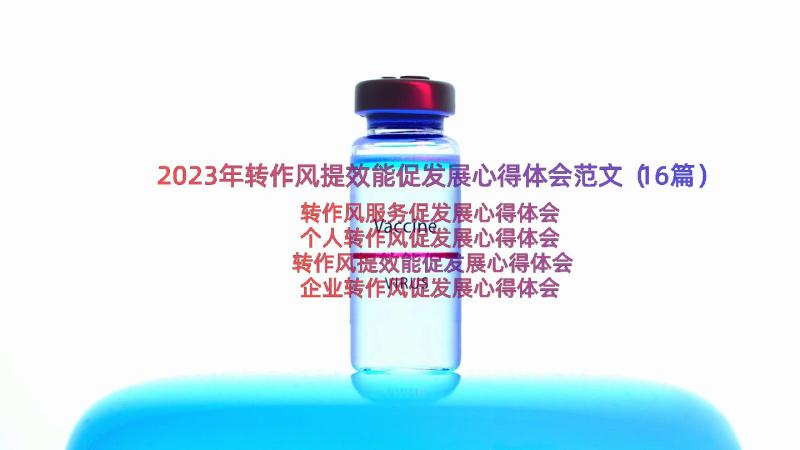 2023年转作风提效能促发展心得体会范文（16篇）