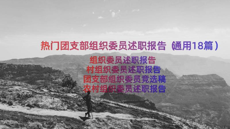 热门团支部组织委员述职报告（通用18篇）