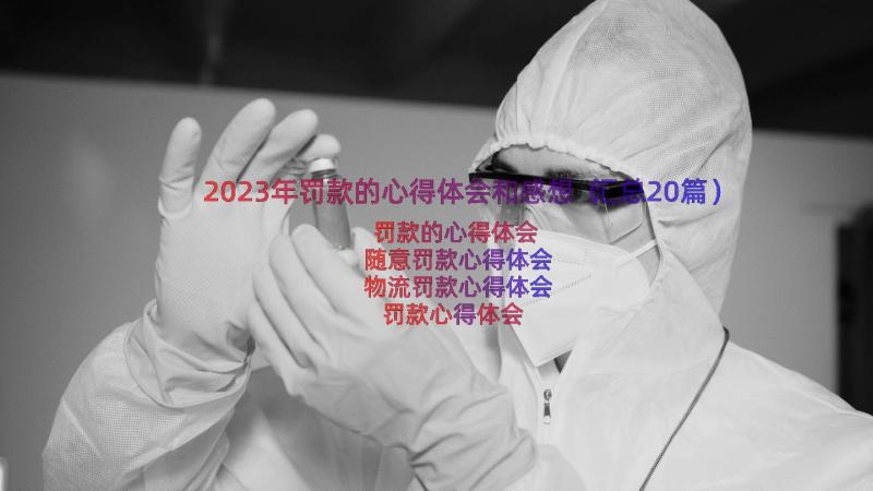 2023年罚款的心得体会和感想（汇总20篇）