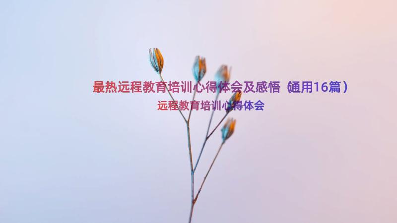 最热远程教育培训心得体会及感悟（通用16篇）