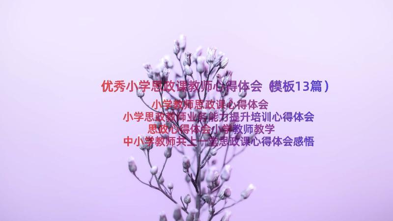 优秀小学思政课教师心得体会（模板13篇）