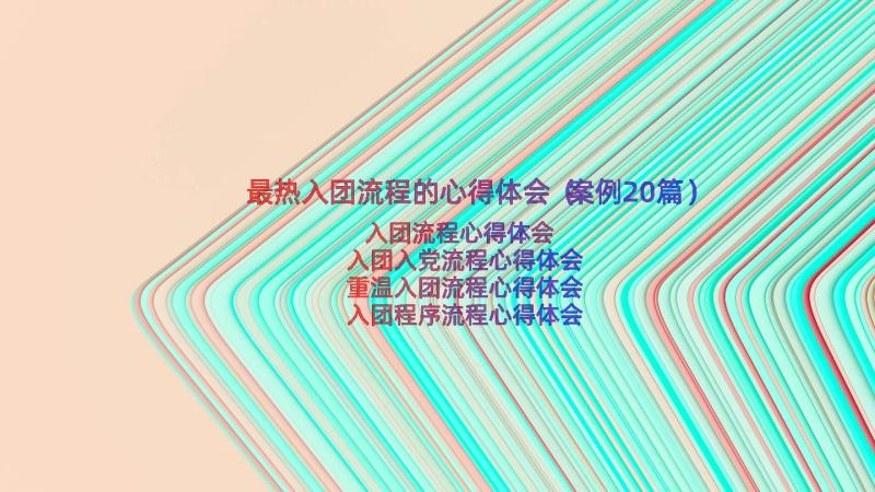 最热入团流程的心得体会（案例20篇）