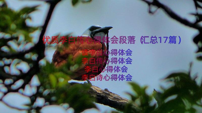 优质李白传心得体会段落（汇总17篇）