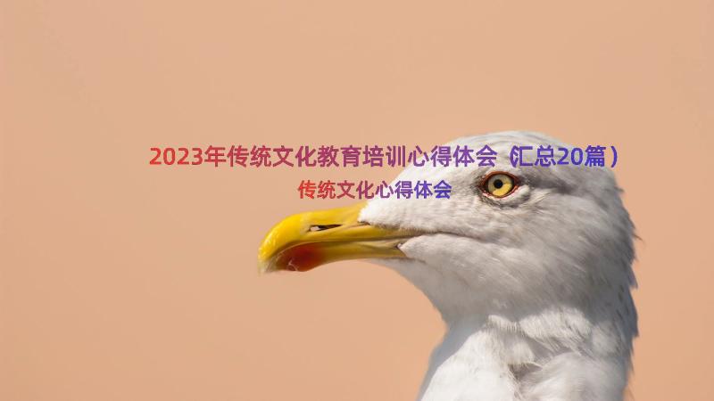 2023年传统文化教育培训心得体会（汇总20篇）