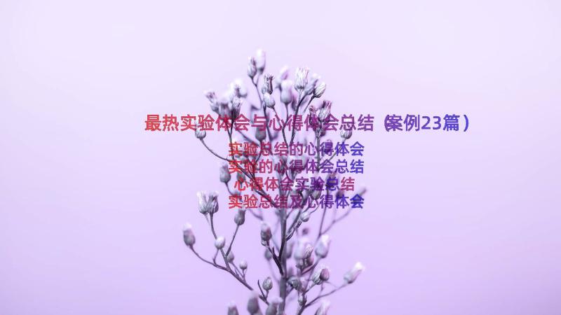 最热实验体会与心得体会总结（案例23篇）