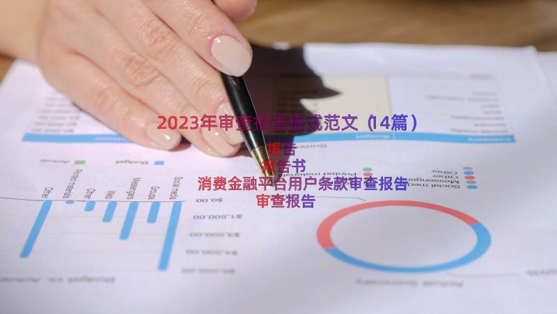 2023年审查报告格式范文（14篇）