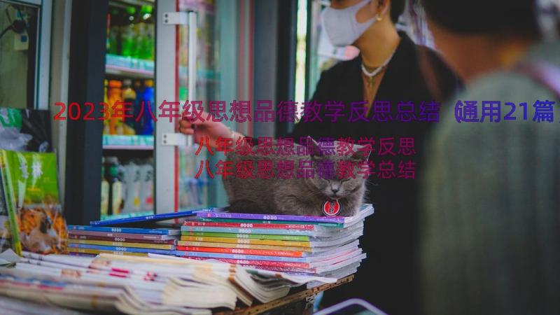 2023年八年级思想品德教学反思总结（通用21篇）