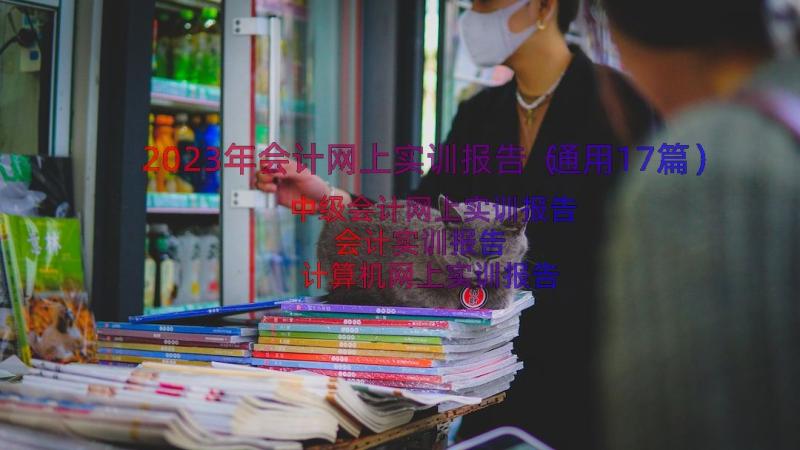 2023年会计网上实训报告（通用17篇）