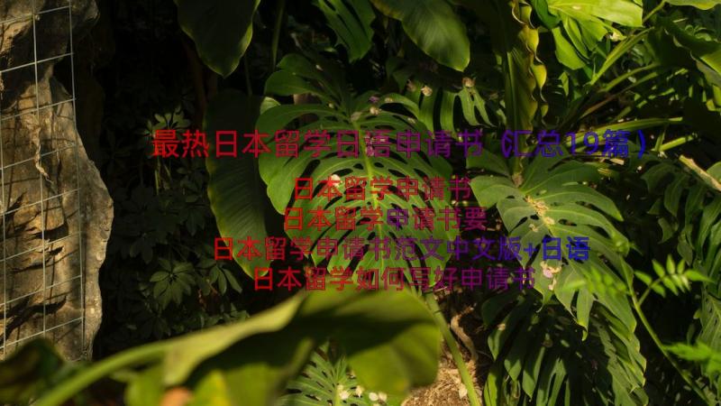 最热日本留学日语申请书（汇总19篇）