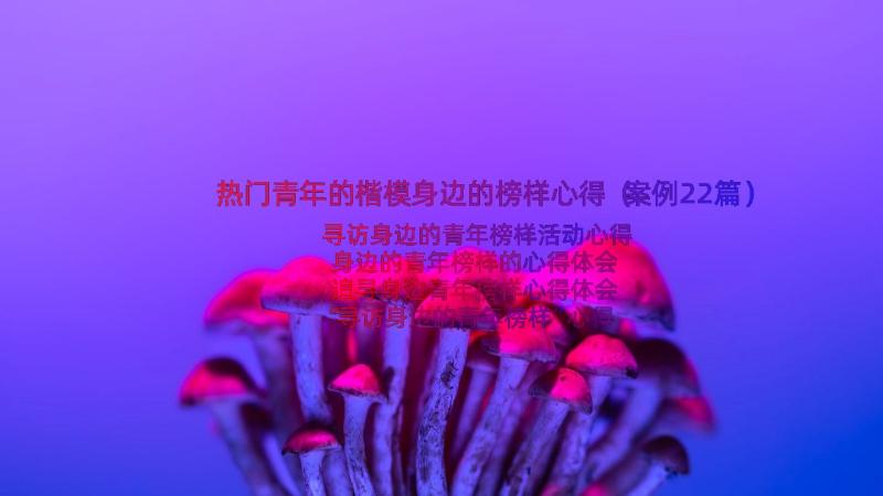 热门青年的楷模身边的榜样心得（案例22篇）