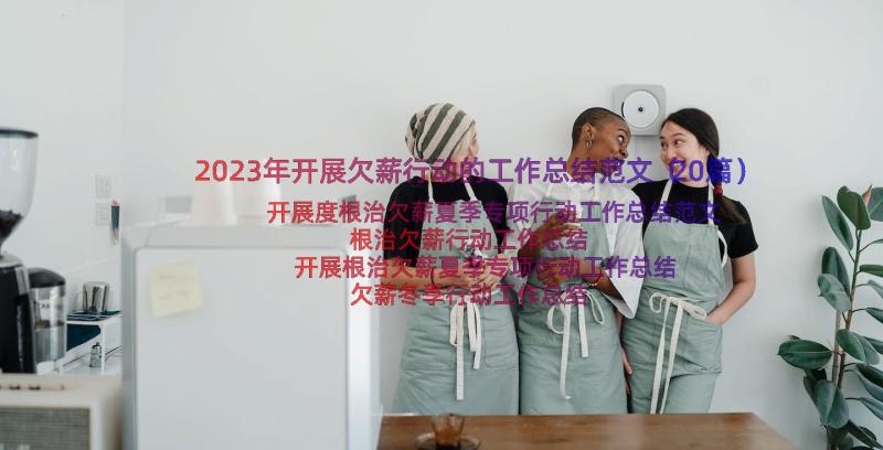 2023年开展欠薪行动的工作总结范文（20篇）