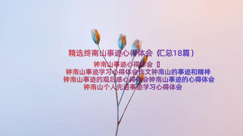 精选终南山事迹心得体会（汇总18篇）