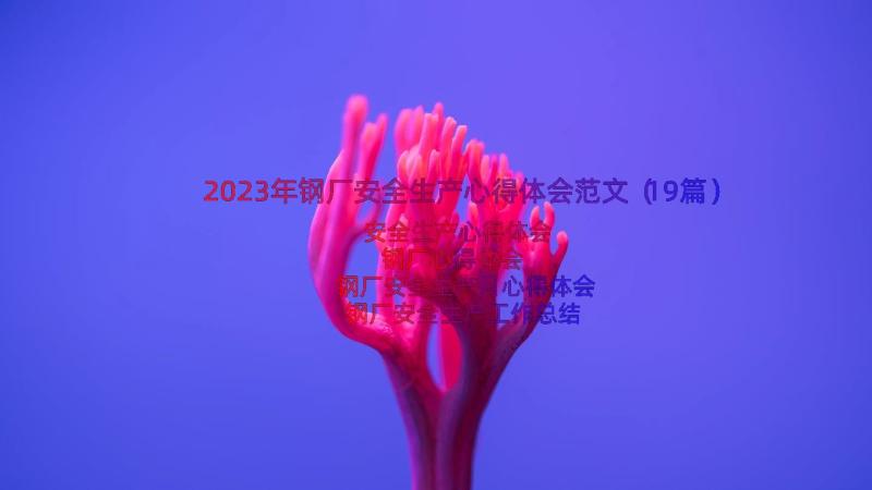 2023年钢厂安全生产心得体会范文（19篇）