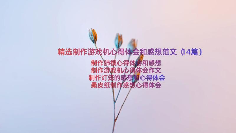 精选制作游戏机心得体会和感想范文（14篇）