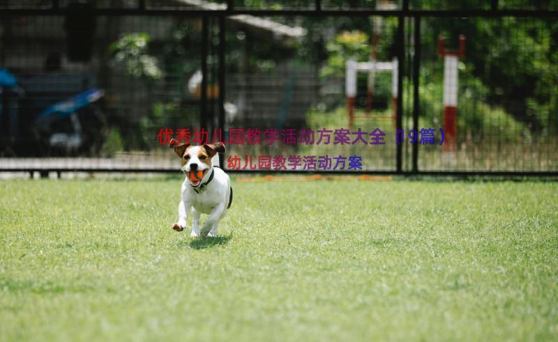 优秀幼儿园教学活动方案大全（19篇）