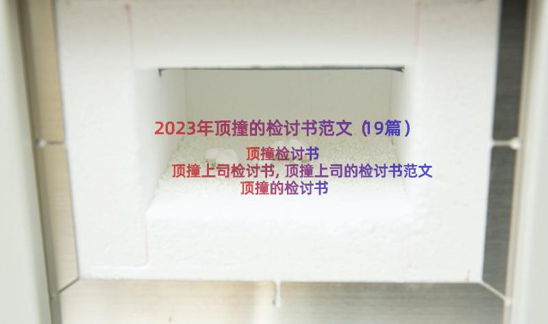 2023年顶撞的检讨书范文（19篇）