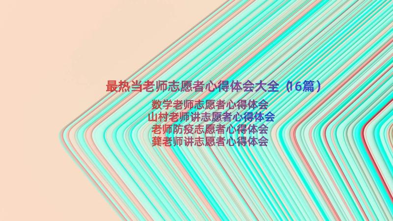 最热当老师志愿者心得体会大全（16篇）