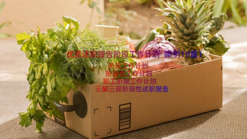 优质述职报告阶段工作计划（案例19篇）