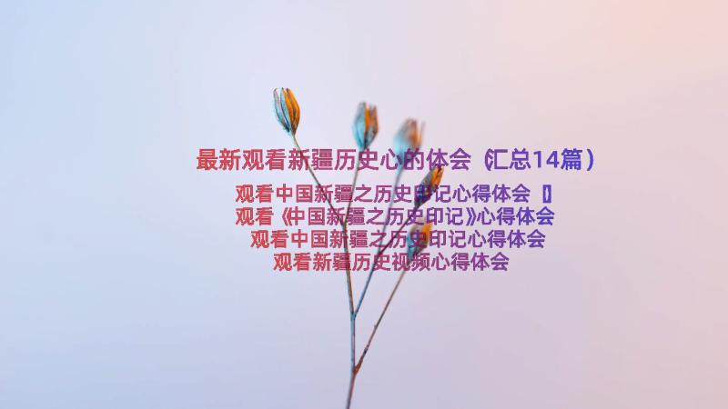 最新观看新疆历史心的体会（汇总14篇）