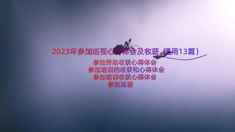 2023年参加巡视心得体会及收获（通用13篇）