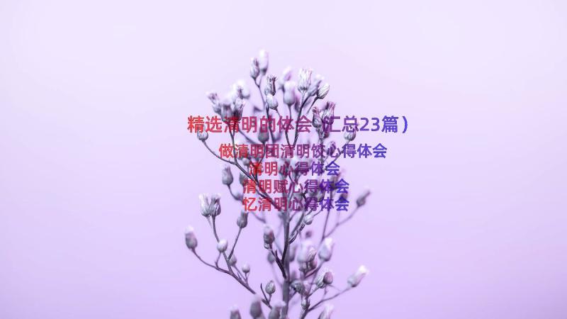 精选清明的体会（汇总23篇）