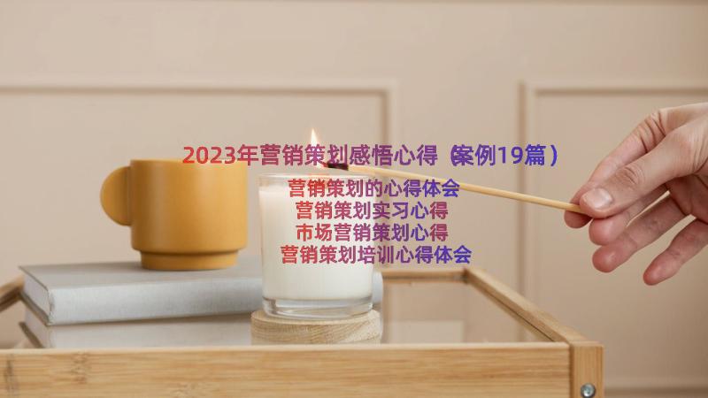 2023年营销策划感悟心得（案例19篇）