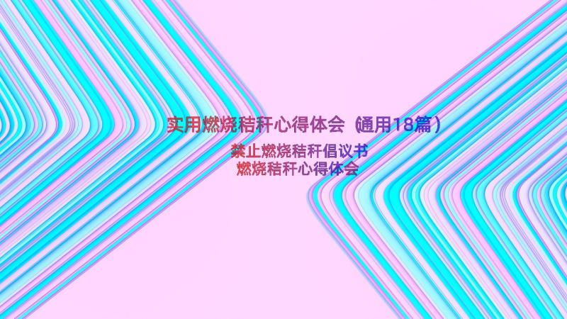 实用燃烧秸秆心得体会（通用18篇）