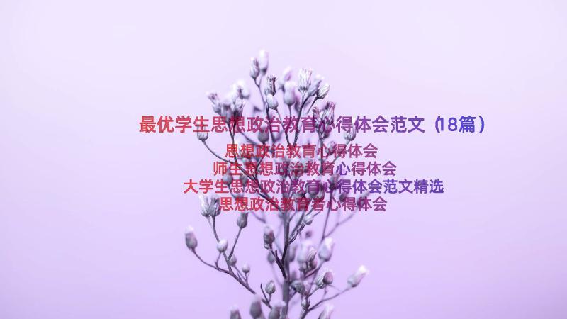 最优学生思想政治教育心得体会范文（18篇）