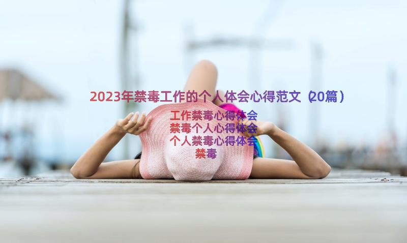 2023年禁毒工作的个人体会心得范文（20篇）