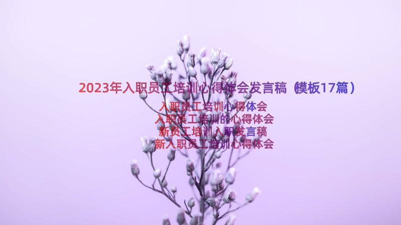 2023年入职员工培训心得体会发言稿（模板17篇）