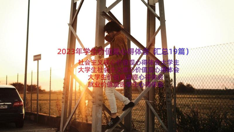 2023年学生价值观心得体会（汇总19篇）