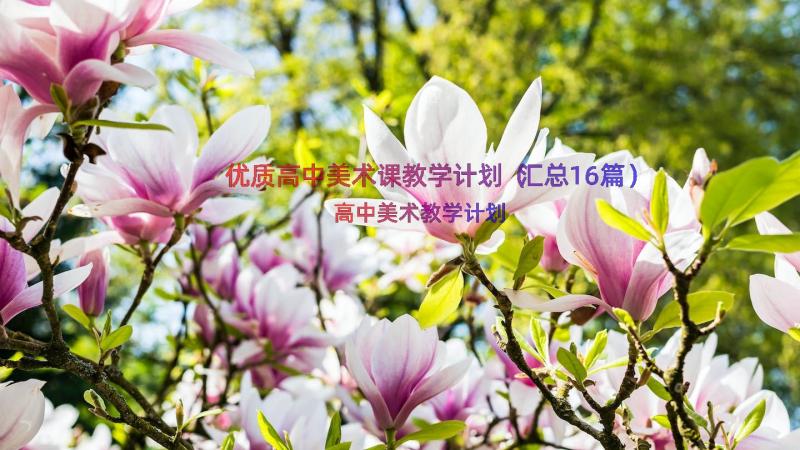 优质高中美术课教学计划（汇总16篇）