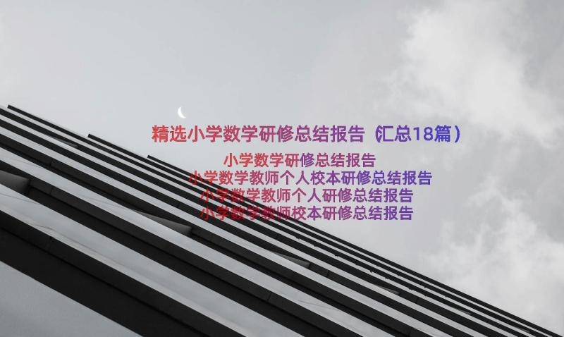 精选小学数学研修总结报告（汇总18篇）