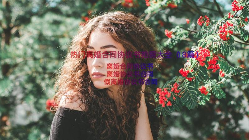 热门离婚合同协议书拍照大全（18篇）