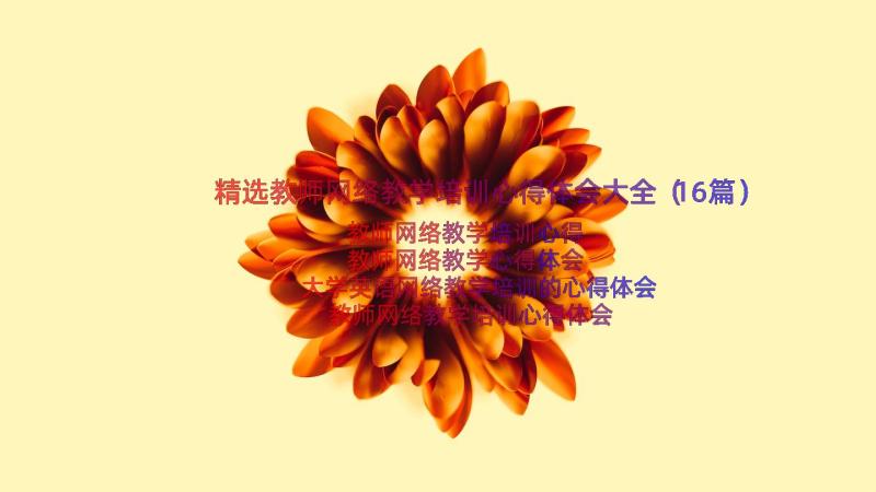 精选教师网络教学培训心得体会大全（16篇）