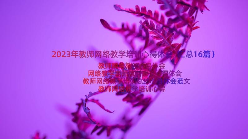 2023年教师网络教学培训心得体会（汇总16篇）