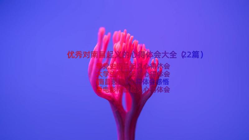 优秀对南昌起义的心得体会大全（22篇）