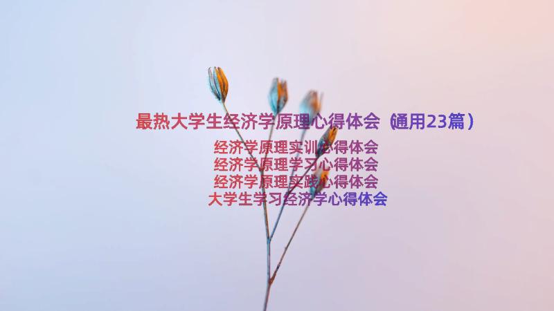 最热大学生经济学原理心得体会（通用23篇）