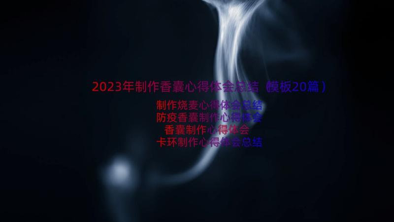 2023年制作香囊心得体会总结（模板20篇）