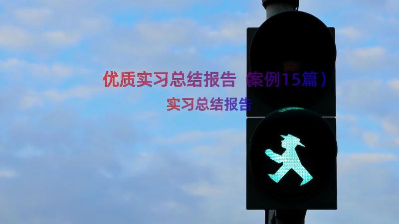 优质实习总结报告（案例15篇）