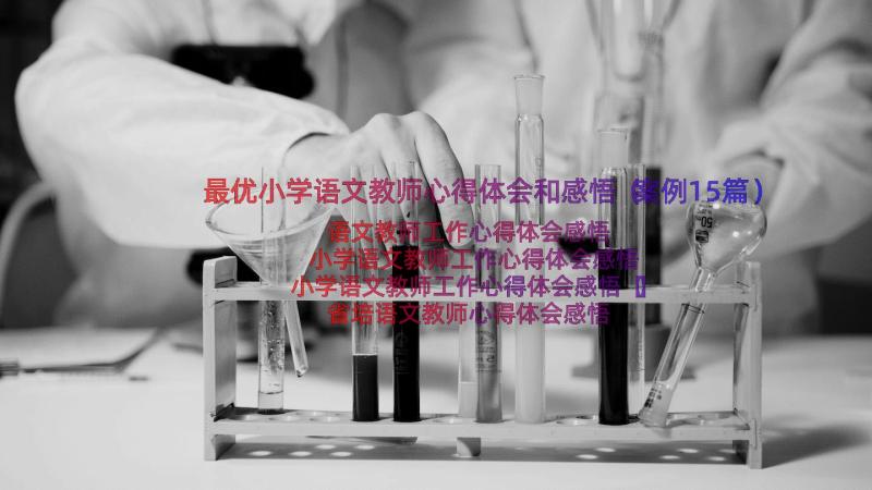 最优小学语文教师心得体会和感悟（案例15篇）