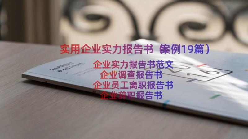 实用企业实力报告书（案例19篇）