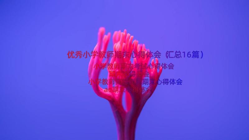 优秀小学教师期末心得体会（汇总16篇）