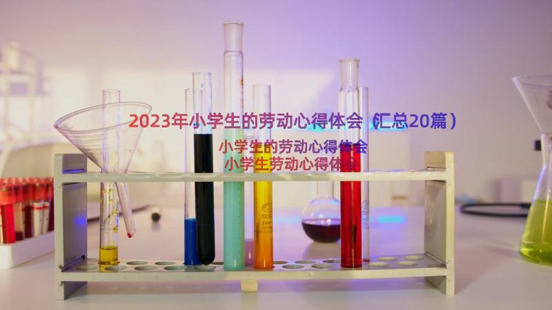 2023年小学生的劳动心得体会（汇总20篇）